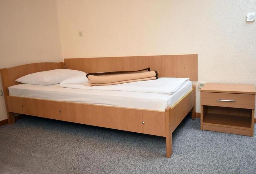 اتاق استاندارد, Mladost