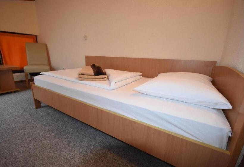 اتاق استاندارد, Mladost