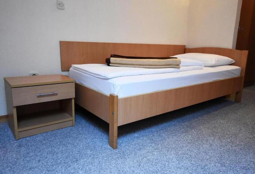 اتاق استاندارد, Mladost