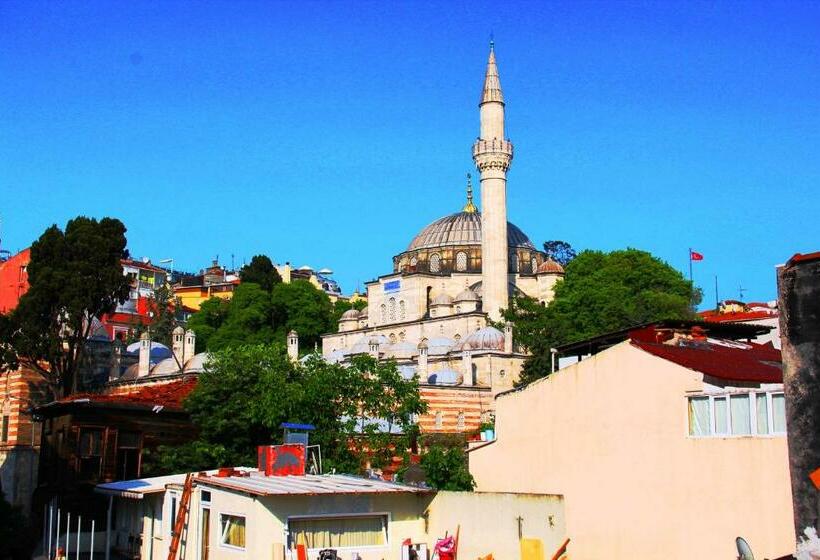 דירת חדר נוף לגינה, Olive Garden Suite