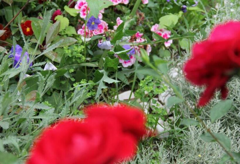 דירת חדר נוף לגינה, Olive Garden Suite