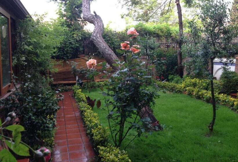 סוויטה משפחתית, Olive Garden Suite