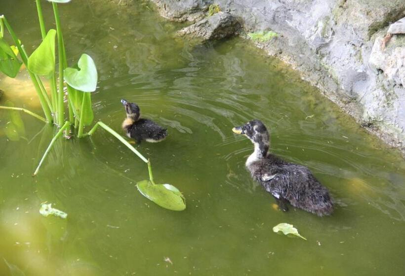 جناح عائلي, Olive Garden Suite