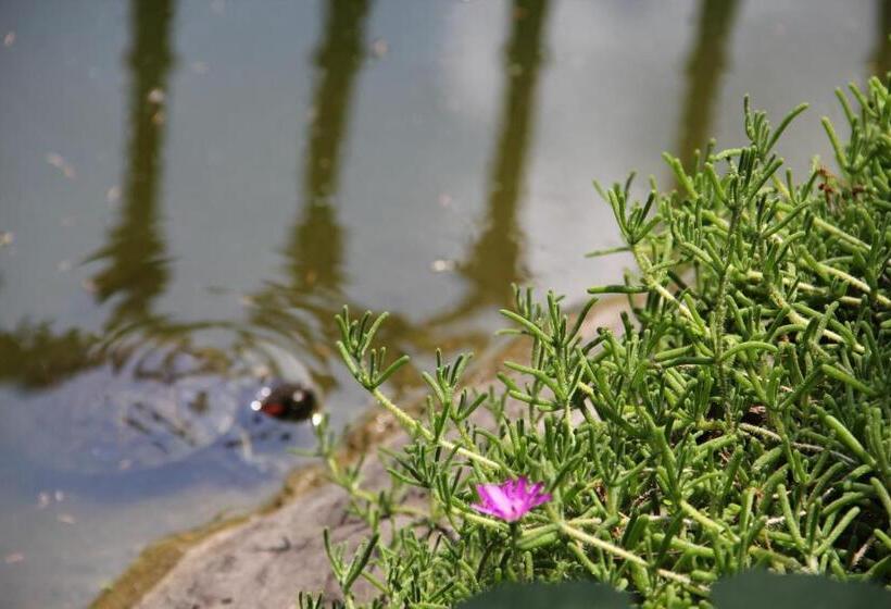 סוויטה משפחתית, Olive Garden Suite