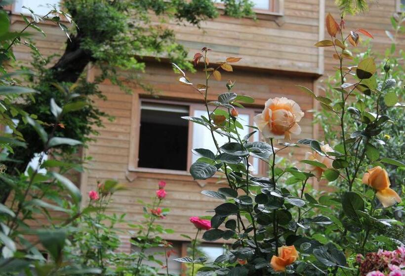 סוויטה משפחתית, Olive Garden Suite