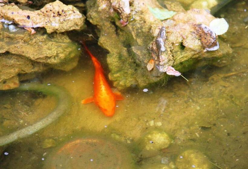 דירת חדר בקומת קרקע, Olive Garden Suite