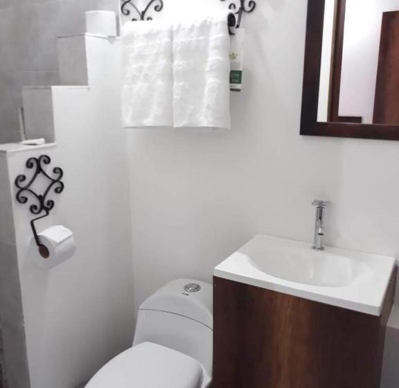 Cameră Standard cu Balcon, Saval Jerico