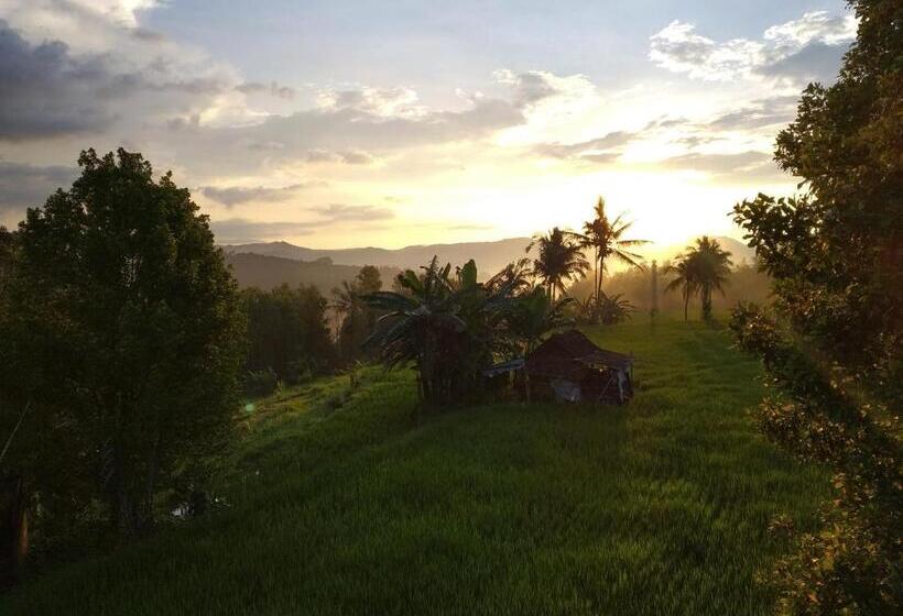 בונגלו סטנדרט עם נוף לגינה, Adhitya Dharma Guest House