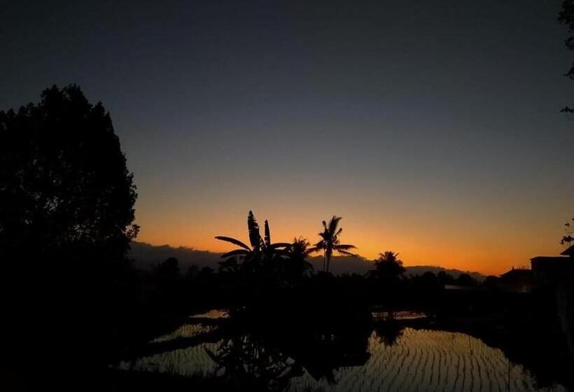 חדר משפחתי חדר אמבטיה משותף, Adhitya Dharma Guest House