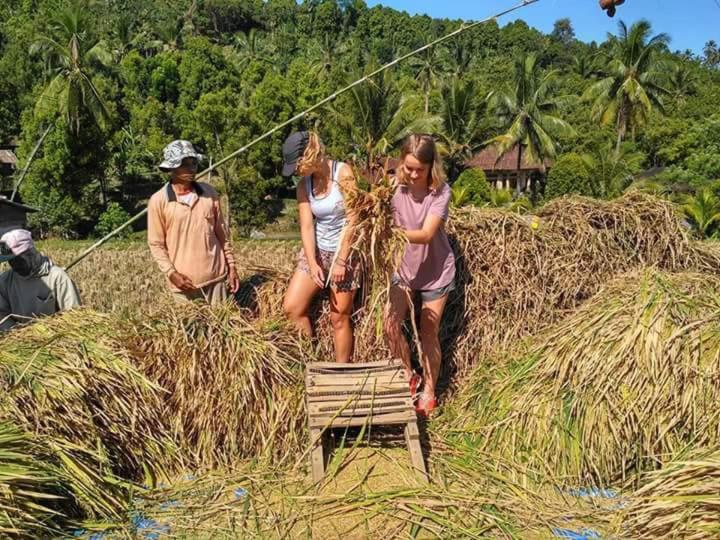 חדר משפחתי חדר אמבטיה משותף, Adhitya Dharma Guest House