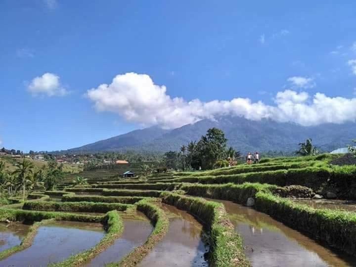 חדר משפחתי חדר אמבטיה משותף, Adhitya Dharma Guest House
