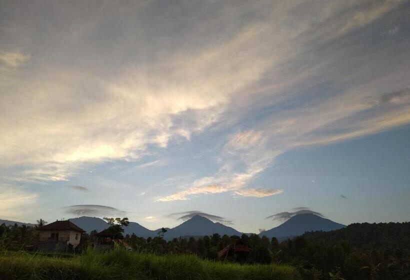 Семейный Номер Совместный Санузел, Adhitya Dharma Guest House