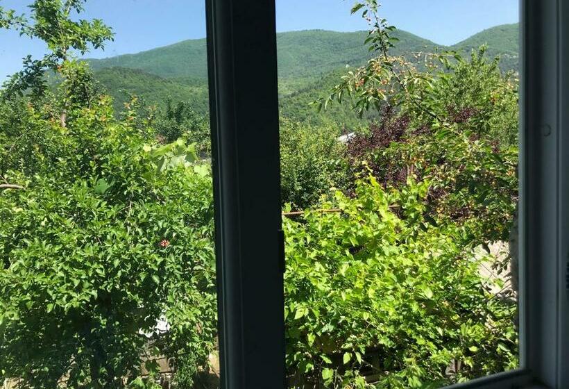 اتاق استاندارد با تراس, Chveni Ezo