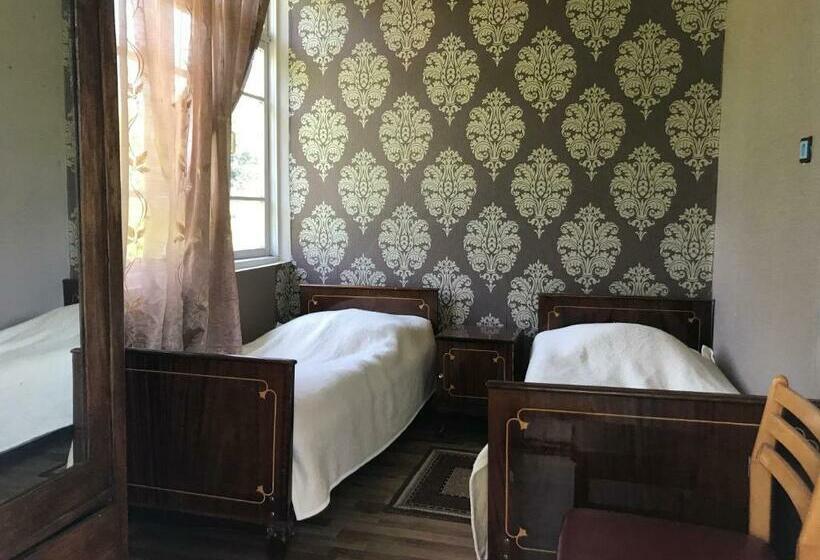 اتاق استاندارد با تراس, Chveni Ezo