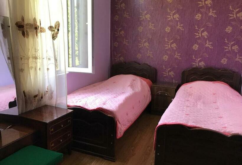 اتاق استاندارد سه نفره, Chveni Ezo