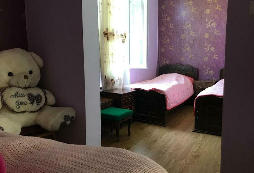 اتاق استاندارد سه نفره, Chveni Ezo