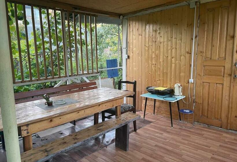 اتاق استاندارد, Chveni Ezo