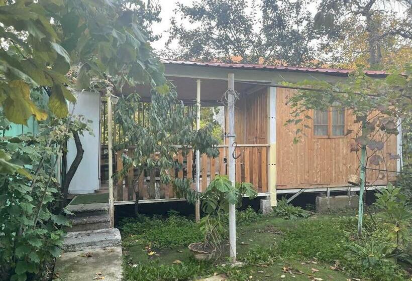 اتاق استاندارد, Chveni Ezo