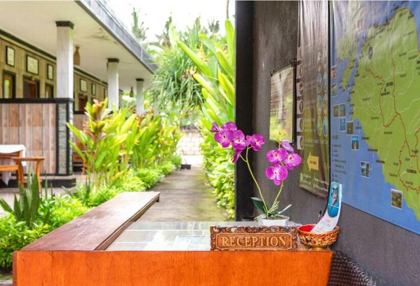 Номер Стандарт Вид на Сад, Doubleg Guest House