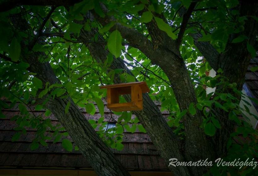 منزل غرفة نوم واحدة, Romantika Vendégház