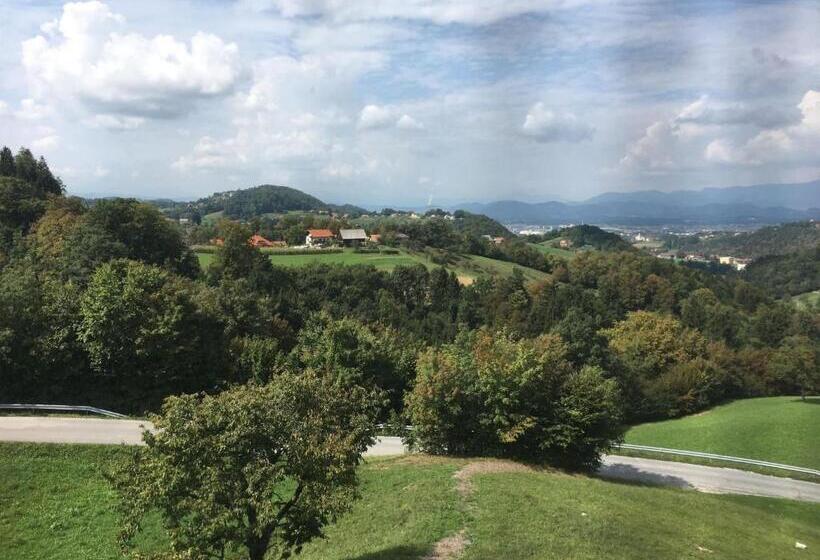 اتاق عادی, Adventure Farm