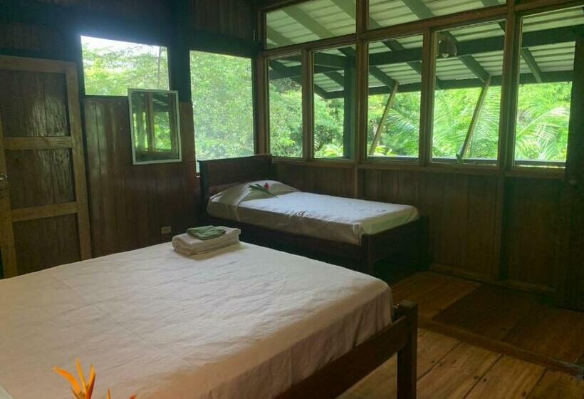 Номер Стандарт, Tiskita Jungle Lodge