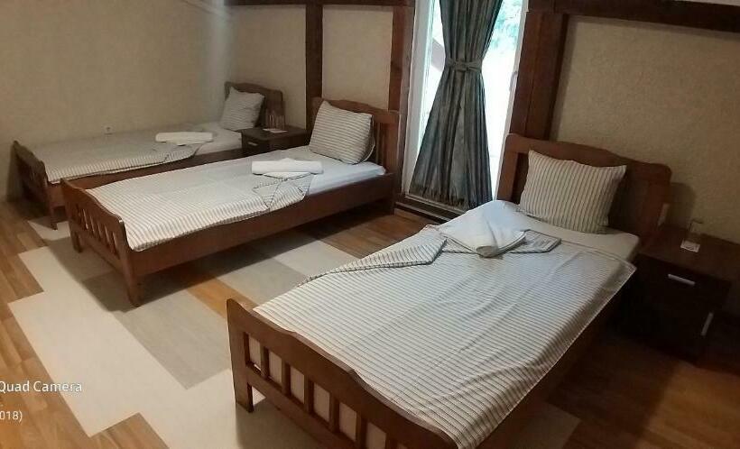 اتاق استاندارد سه نفره, Podgorski An