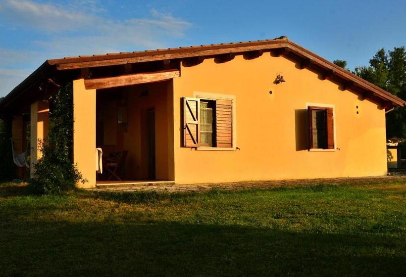 חדר סטודיו סטנדרד, Agriturismo Terre Di Musignano