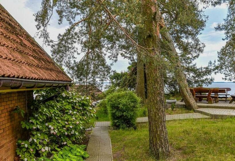 اتاق استاندارد چهار تخته, Vila Nendrė