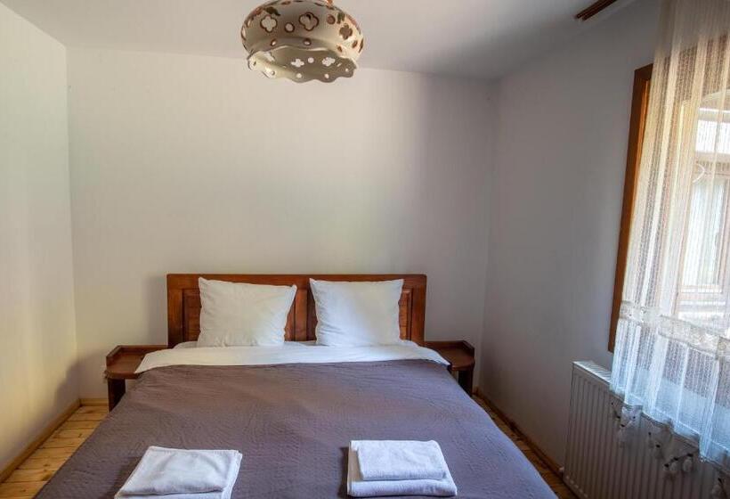 스탠다드 룸 킹사이즈 침대, Pensiunea Casa Bunicilor