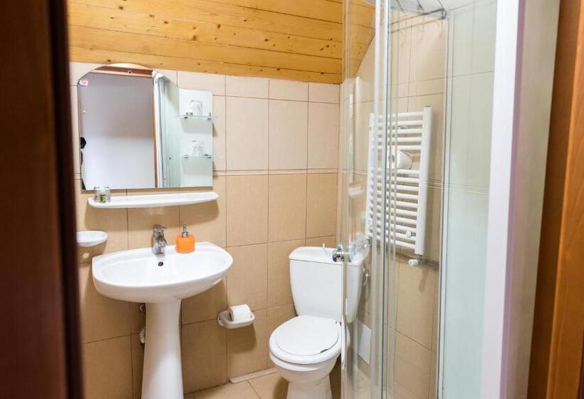 스탠다드 룸 킹사이즈 침대, Pensiunea Casa Bunicilor