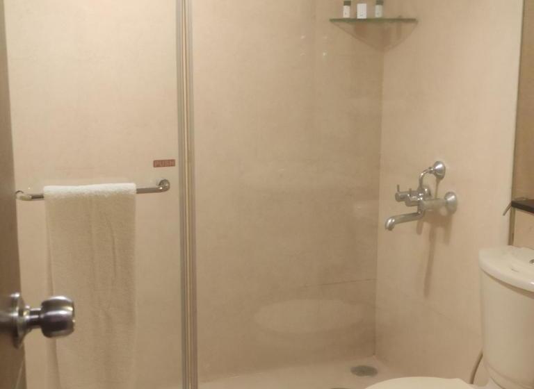 Номер Executive, Vedic Village Sriperumbudur Formerly Known As Citrus