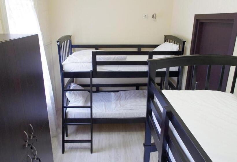 تختخواب در اتاق مشترک, New Life