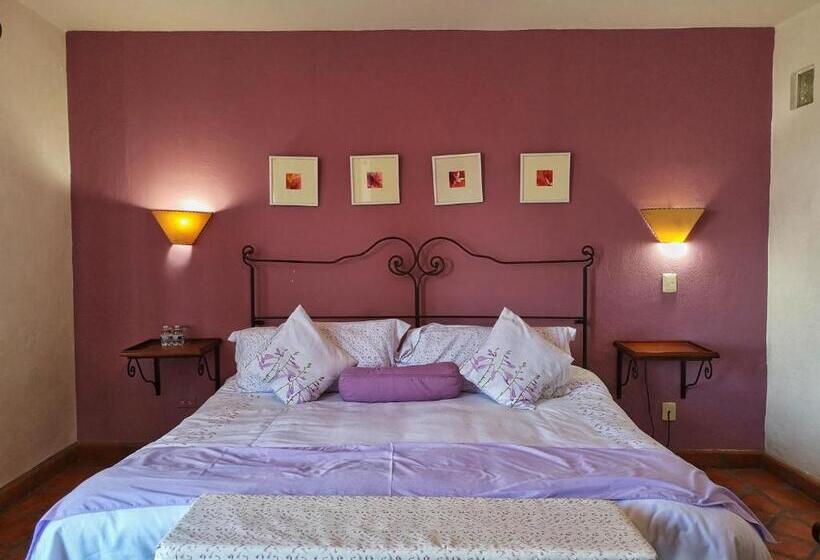 スイート, Casa Morena