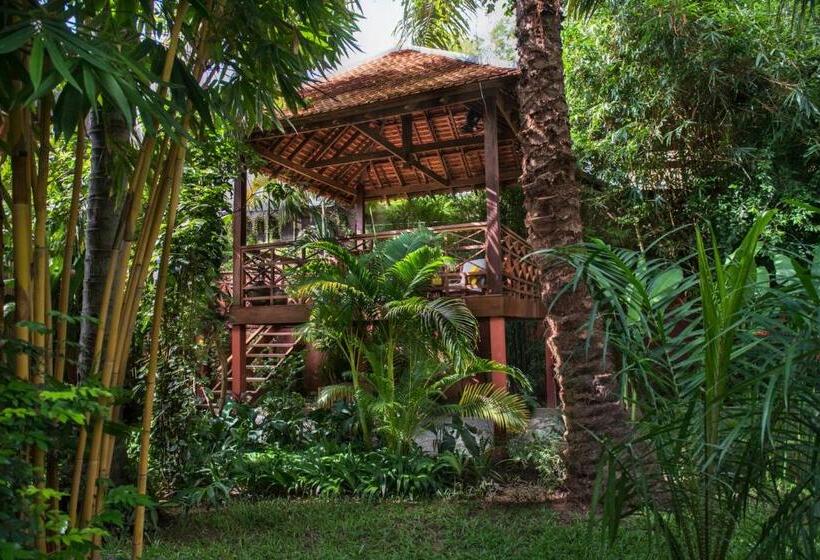 سوییت با چشمانداز استخر, Maison Polanka