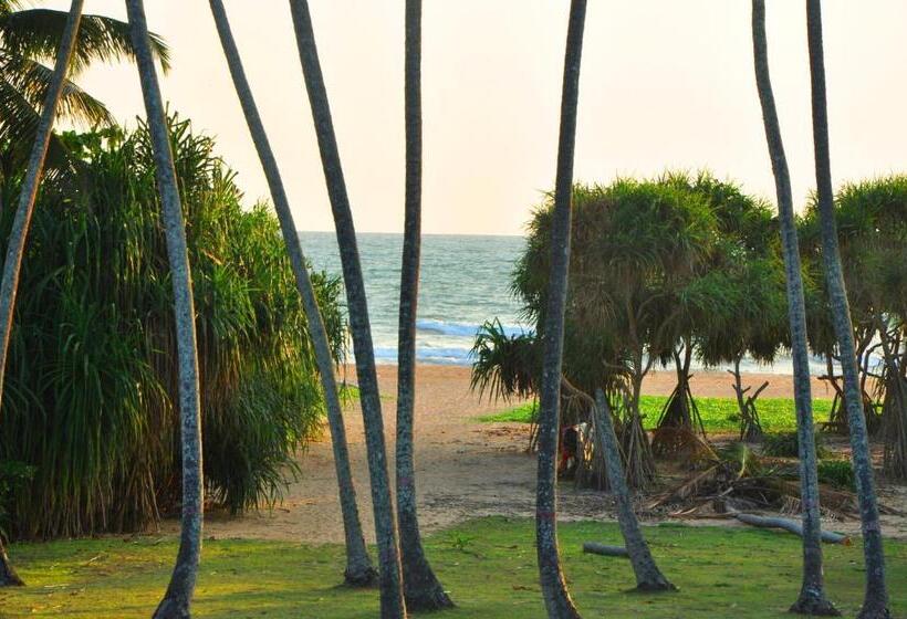 Номер Стандарт Вид на Море с Балконом, Ocean View