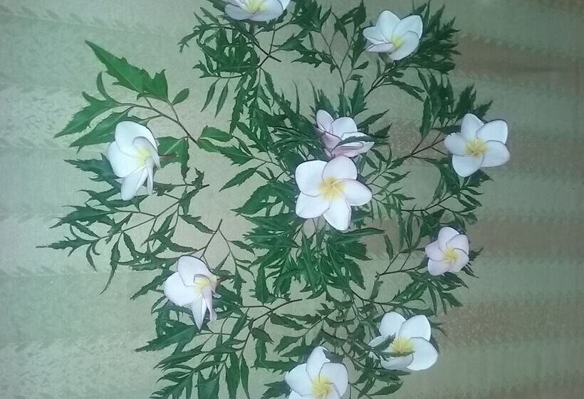 Номер Deluxe Вид на Море, Ocean View