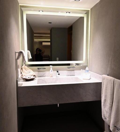 Номер Deluxe Кровать Кинг, Park Nilo Reforma