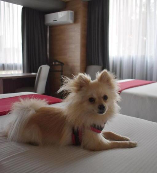 Номер Deluxe Кровать Кинг, Park Nilo Reforma