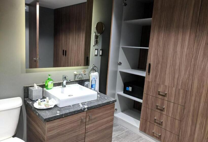 Номер Deluxe Кровать Кинг, Park Nilo Reforma