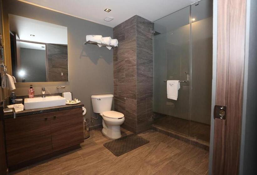 Номер Deluxe, Park Nilo Reforma