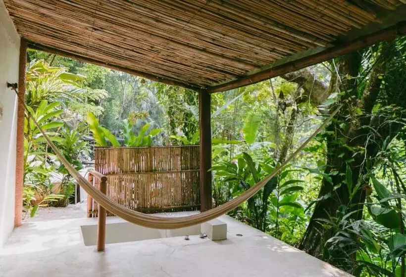 سوئیت با تخت بزرگ, Piedra De Agua Palenque