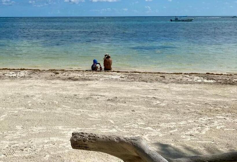 Семейный Номер, Luna De Plata