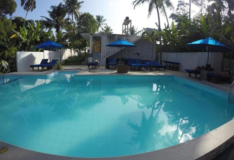 스탠다드 룸, Morning Star