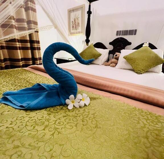 스탠다드 룸, Morning Star