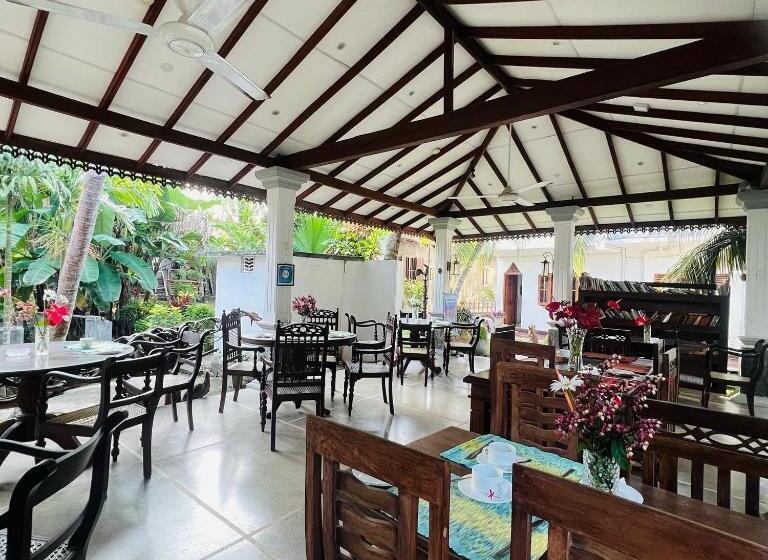 수피리어 룸 가든 전망, Morning Star