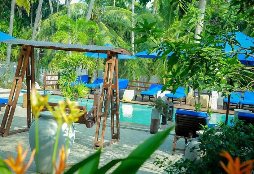 수피리어 룸 가든 전망, Morning Star