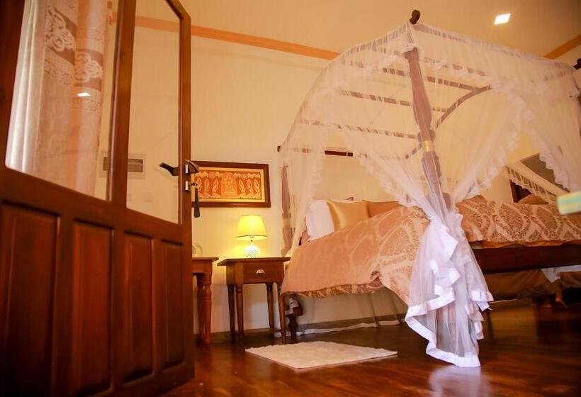 패밀리 스위트, Morning Star