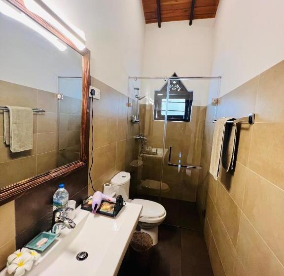 스탠다드 룸, Morning Star