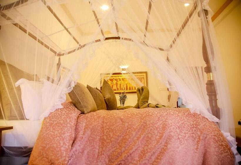 패밀리 스위트, Morning Star